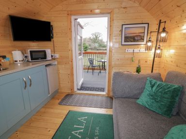 A small wooden room with a kitchenette and a gray sofa with green cushions at Elm in Dungiven Londonderry