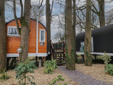 A wooden pod and a black pod connected by wooden steps among trees at Elm in Dungiven Londonderry