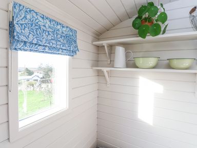 A corner of a room with white wooden walls and two shelves holding a plant a white jug and two bowls at Teg in Prospidnick near Porthleven