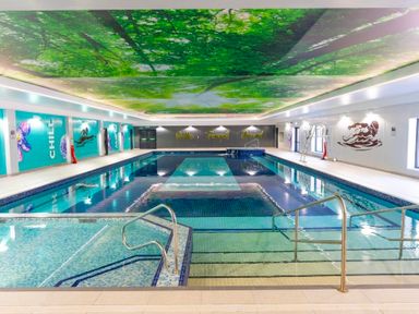 An indoor swimming pool with a ceiling mural at Cornish Woodland Retreat Near St Tudy