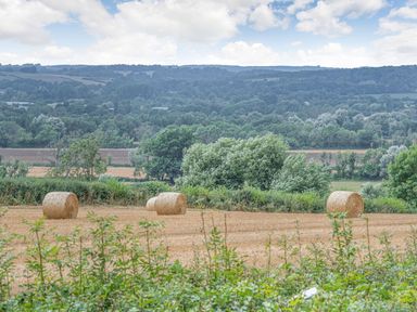 A field with four hay bales and trees in the background at Bears Court Barn 3 Little Rissington near Bourton-On-The-Water
