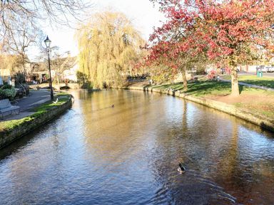 A river with ducks swimming along grassy banks and trees showing autumn colors at Bears Court Barn 3 in Little Rissington near Bourton-On-The-Water