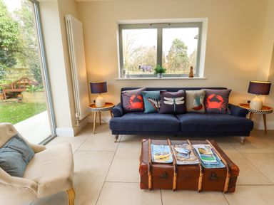A living room with a navy blue sofa with decorative pillows a beige armchair a wooden coffee table with magazines and side tables with lamps at Natterjacks in Syderstone