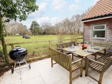 An outdoor patio with a wooden table and benches set for six near a wooden building and a charcoal grill overlooking a grassy field with a horse at Natterjacks in Syderstone