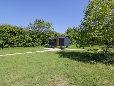 A small black shepherd hut on wheels with steps on a grass field surrounded by trees at Blackthorn South Leigh near Witney