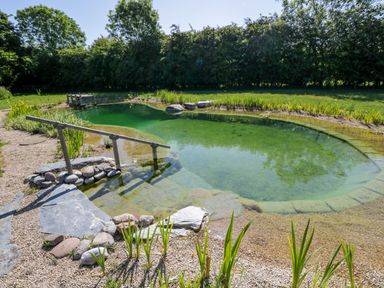 A natural swimming pond with steps and a wooden handrail surrounded by grass and trees at Blackthorn South Leigh near Witney