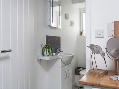 A small bathroom with a white sink and cabinet a plant on the sink a toilet decorative bird sculpture and a round mirror on a wooden surface at The Loft in Porthleven