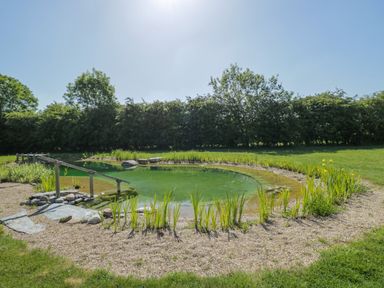 A natural swimming pond with wooden handrails and surrounding plants in a garden
