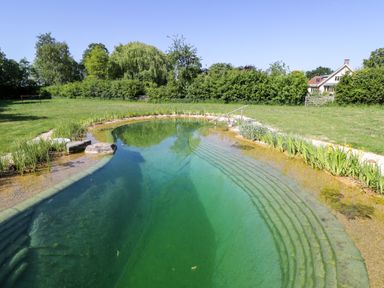 An outdoor natural swimming pond with steps and plants around it in a garden with grass trees and a house in the background at Hazel in South Leigh near Witney