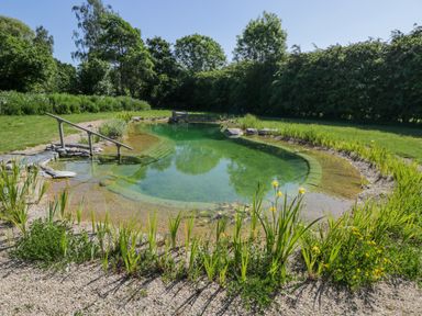 An outdoor natural swimming pond surrounded by gravel and plants with trees and grass in the background at Hazel in South Leigh near Witney