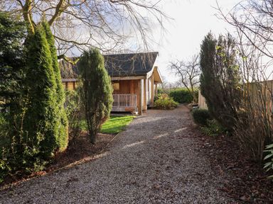A gravel pathway lined with trees and shrubs leading to a wooden lodge at Cedrus Lodge in Skelton near Penrith