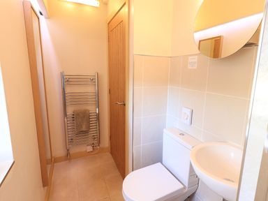 A small bathroom with a toilet sink round mirror heated towel rack and wooden door at Larch Lodge Skelton near Penrith