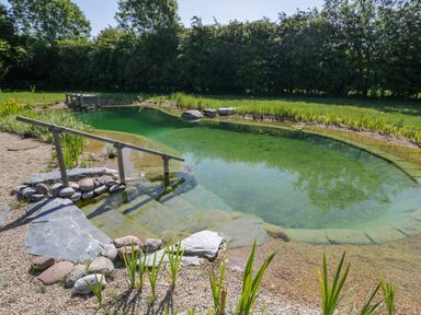 A natural swimming pond with stone steps and plants surrounded by grass and trees at Spindle South Leigh near Witney