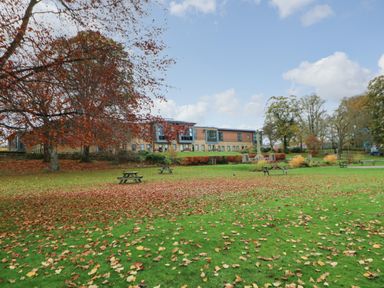 A park with green grass fallen autumn leaves wooden picnic tables trees and a building in the background at Crescent Cottage Haltwhistle near Hadrians Wall
