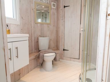 A bathroom with a toilet holding a towel a shower enclosure a wall mirror and a sink cabinet at Spekes Mill near Hartland