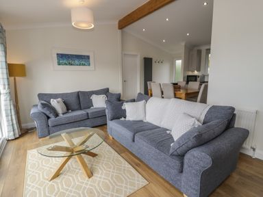 A living room with sofas and a coffee table at Platinum Lodge (503) Talybont