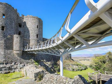 A castle structure with a bridge connecting to the ground at Platinum Lodge (503) Talybont