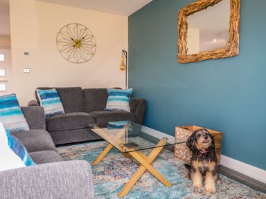 A living room with gray sofas blue and white cushions a glass coffee table and a dog sitting on a rug at 19 Parc Delfryn in Benllech