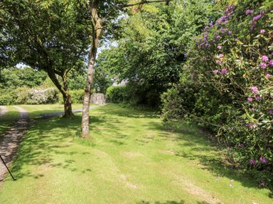 A garden pathway with trees and flowers at Plas Pontfaen near Fishguard and Newport, Pembrokeshire