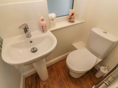 A small bathroom with a white sink a toilet toilet paper on the window sill and a soap dispenser at Woodbine Cottage in Ambleside