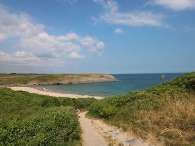 A coastal path leading down to a sandy beach with green vegetation and a rocky headland at Blacksmiths Cottage in Pembroke