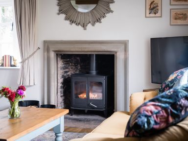 A living room with a stove and sofa at Henhouse Farm in Bodenham