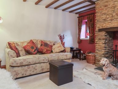 A living room with a patterned sofa red cushions stone fireplace and a dog on a rug at Old Farm Cottage in Woolacombe
