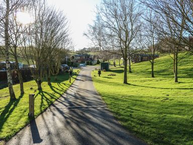 A paved pathway through a grassy area with leafless trees and wooden homes at The Sanctuary in Badgers Retreat Holiday Park near Catterick Garrison North Yorkshire