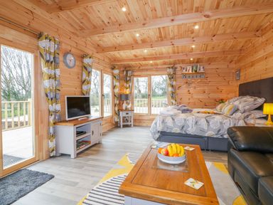 A wooden room with a bed a coffee table with fruit a television and large windows at Little Orchard Lodge in Goonhavern