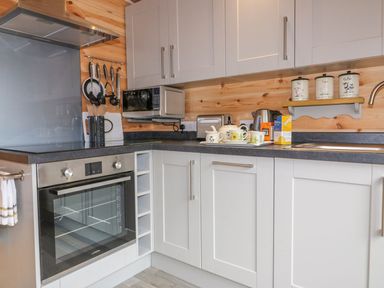 A kitchen with white cabinets a built in oven a microwave and utensils hanging on the wall at Little Orchard Lodge in Goonhavern