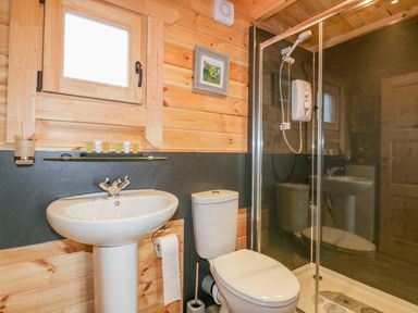 A bathroom with a sink toilet shower and wooden walls at Little Orchard Lodge in Goonhavern