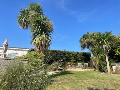 A garden with palm trees grass and wooden deck with chairs at Maceley in Kingsbridge