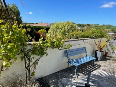 An outdoor patio area with a blue bench a potted plant and a vine climbing a white wall at Maceley in Kingsbridge