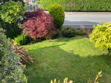 A front garden with grass lawn and various shrubs beside a street at Maceley in Kingsbridge