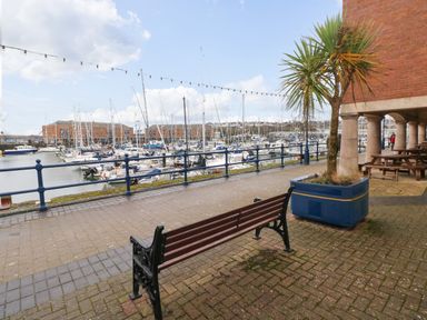 A bench and a potted palm tree on a paved marina walkway with boats moored and buildings in the background at 15 Sovereign House in Milford Haven