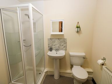 A bathroom with a shower enclosure sink toilet and small wall plant at 15 Sovereign House in Milford Haven