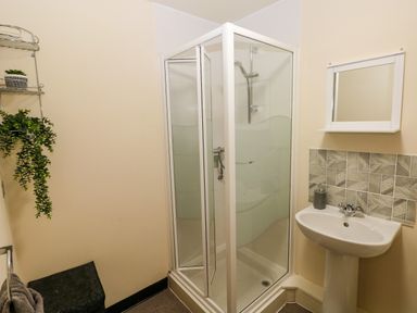 A bathroom with a shower enclosure a sink with mirror and tiled backsplash and plants on a metal shelf at 15 Sovereign House in Milford Haven
