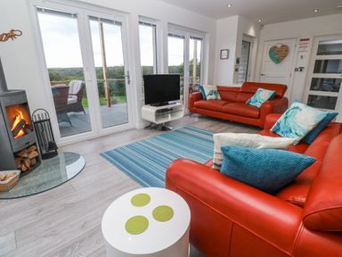A living room with red sofas blue striped rug and fireplace at Petroc in Portreath