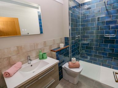 A bathroom with a shower, sink, and toilet at The Old Creamery in Ffairfach