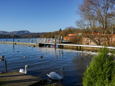 A lake with swans and ducks near a wooden dock and cabins at Lily Rose Lodge White Cross Bay near Troutbeck Bridge