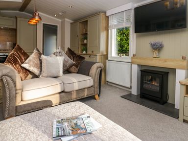 A living room with a sofa cushions fireplace and TV at Lily Rose Lodge White Cross Bay near Troutbeck Bridge