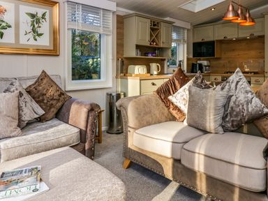 A living room area with sofas and cushions next to a kitchen with cabinets and appliances at Lily Rose Lodge White Cross Bay near Troutbeck Bridge