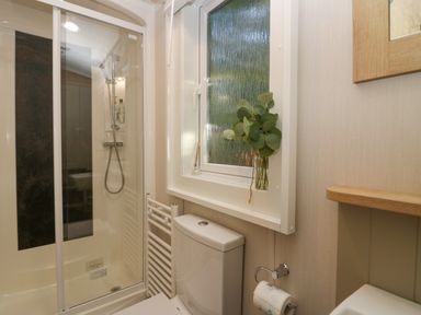A bathroom with a shower cubicle a toilet a window with a plant and a toilet paper holder at Lily Rose Lodge in White Cross Bay near Troutbeck Bridge
