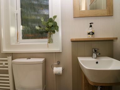 A bathroom with a toilet sink mirror and window with a plant in a jar at Lily Rose Lodge White Cross Bay near Troutbeck Bridge