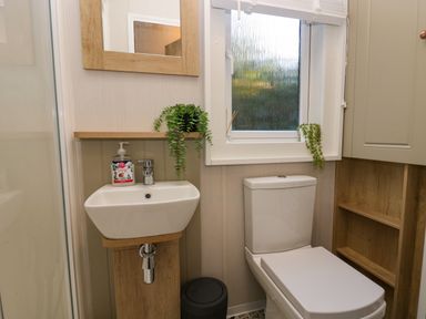 A bathroom with a small sink an overhead mirror a toilet a window and potted plants at Lily Rose Lodge in White Cross Bay near Troutbeck Bridge