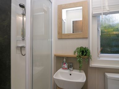 A bathroom with a shower, a sink with a soap dispenser, a mirror, a small shelf with a plant, and a window at Lily Rose Lodge in White Cross Bay near Troutbeck Bridge