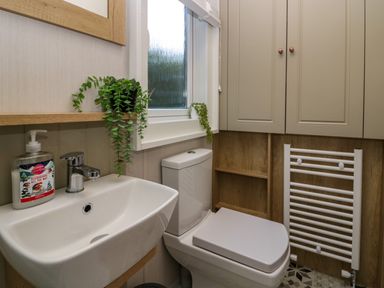 A bathroom with a white sink a toilet cabinets plants and a wall-mounted towel radiator at Lily Rose Lodge in White Cross Bay near Troutbeck Bridge