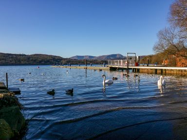 A lake with swans and ducks near a wooden dock with hills in the background at Lily Rose Lodge White Cross Bay near Troutbeck Bridge