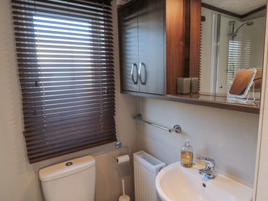 A bathroom with a toilet sink mirror cabinet and a window with blinds at Downtime Lodge near Felton