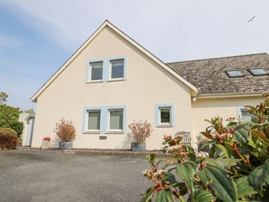 The exterior of a house with light walls and blue window frames with plants near the windows and a paved driveway at Tree Tops in Newport Pembrokeshire